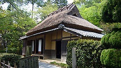 歴史雑学教えて！