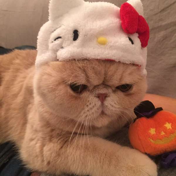 カジュアルファッションが好きな人