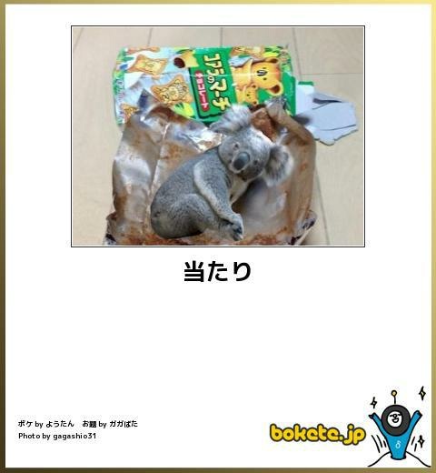 貼り場のない画像が集まるトピ