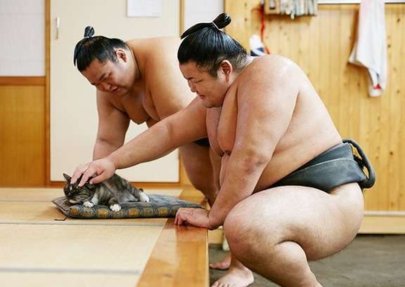 貼り場のない画像が集まるトピ