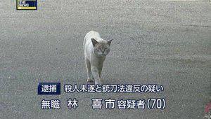 貼り場のない画像が集まるトピ