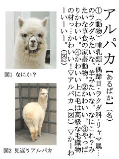 貼り場のない画像が集まるトピ