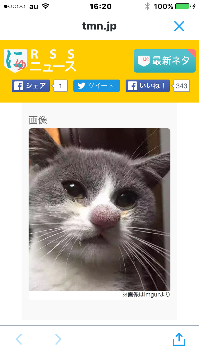 貼り場のない画像が集まるトピ