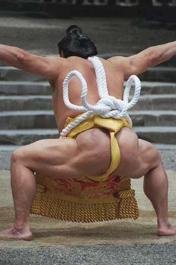 貼り場のない画像が集まるトピ