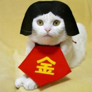貼り場のない画像が集まるトピ