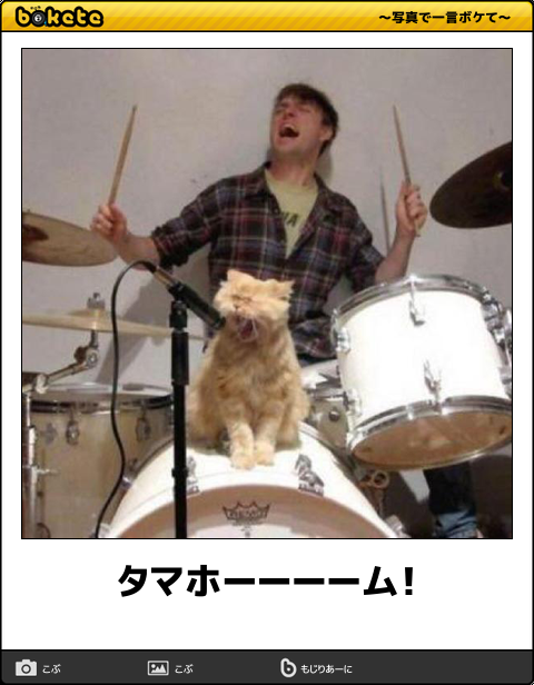貼り場のない画像が集まるトピ