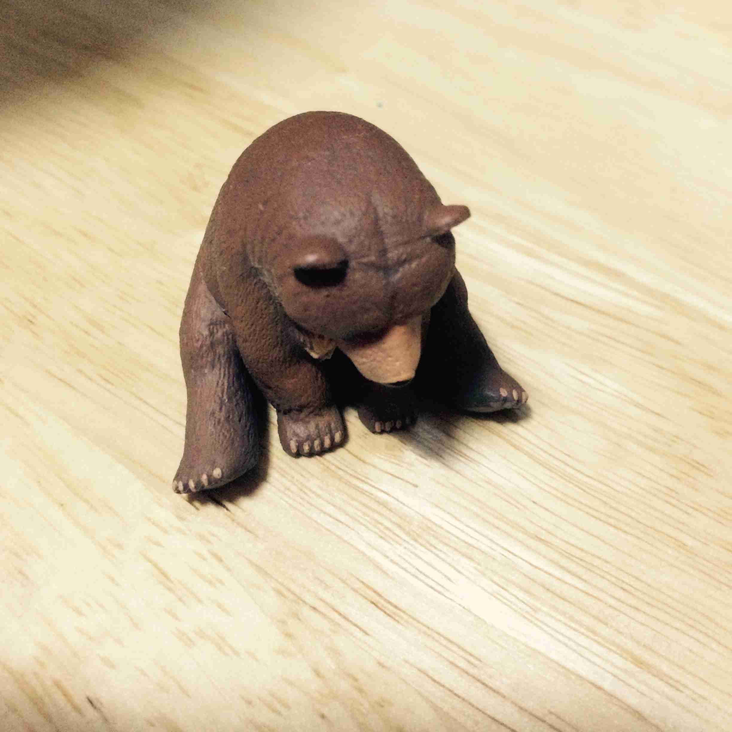 デスクに置いてあるお気に入り