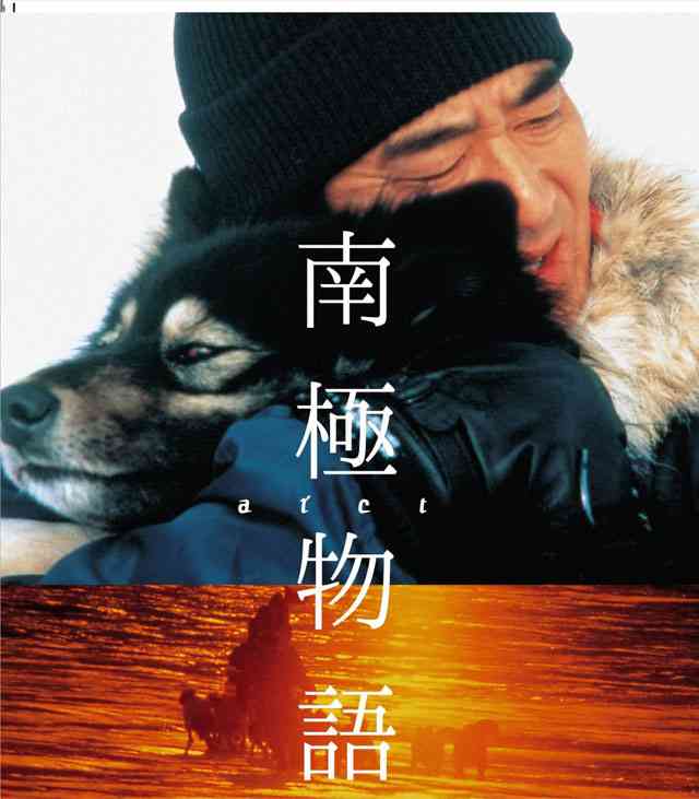 切なくなるドラマ・映画