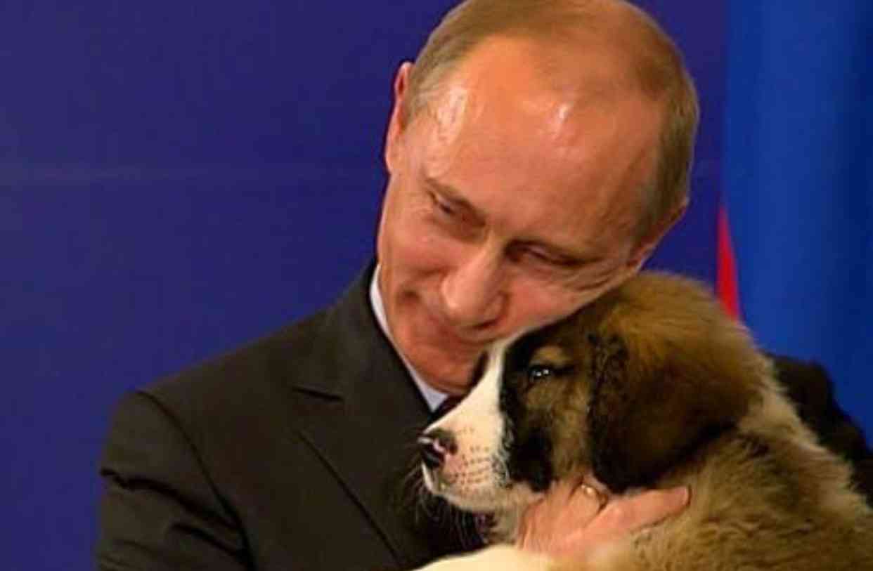 猫派ですか？犬派ですか？