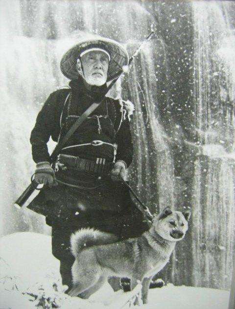 猫派ですか？犬派ですか？