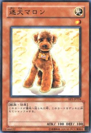 猫派ですか？犬派ですか？