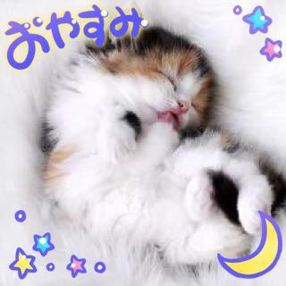 ガルちゃんで画像（サイト）を貼り付ける方法＆練習Part8