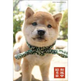 ガルちゃんで画像(サイト)を貼り付ける方法&練習Part8
