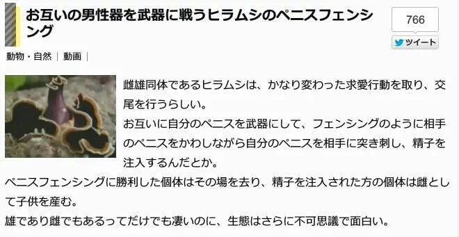 ガルちゃんで画像(サイト)を貼り付ける方法&練習Part8