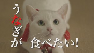 ガルちゃんで画像（サイト）を貼り付ける方法＆練習Part8