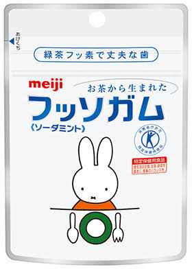 フッ素についてどう思いますか？