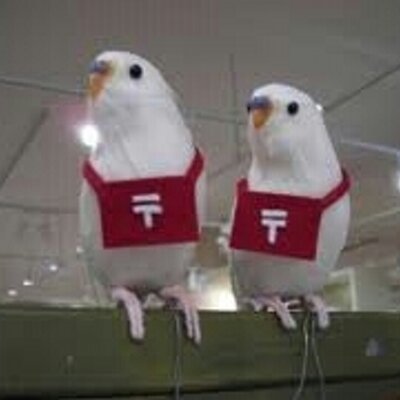 友人との連絡頻度