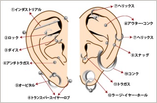 ピアスの穴が複数ある人！