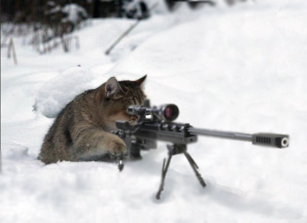 雪と動物たちの画像