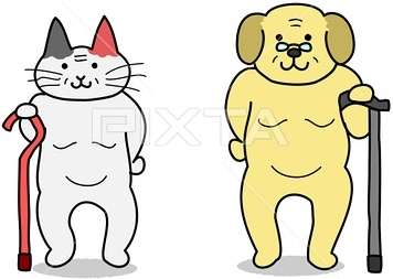 おじいさん、おばあさんはあなたに似てる?