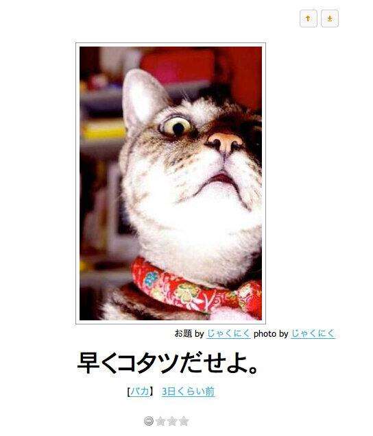 《画像》笑える動物の写真