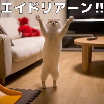 《画像》笑える動物の写真