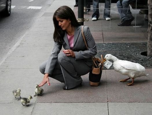 《画像》笑える動物の写真