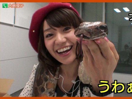 《画像》笑える動物の写真