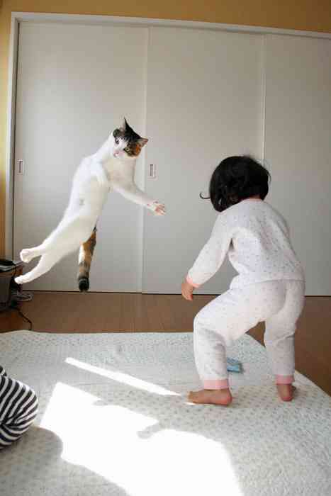 《画像》笑える動物の写真