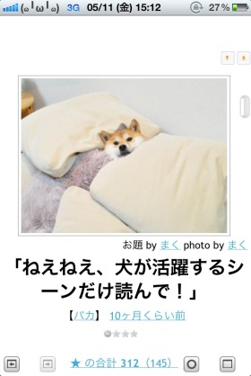 《画像》笑える動物の写真