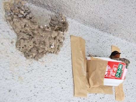 2016年早々ボケてみましょ。