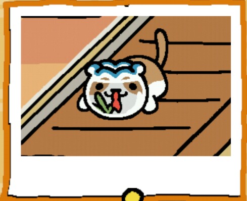 見つめ合う画像を貼るトピ