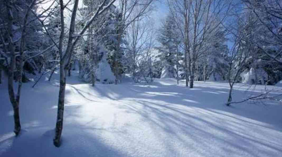 雪情報！
