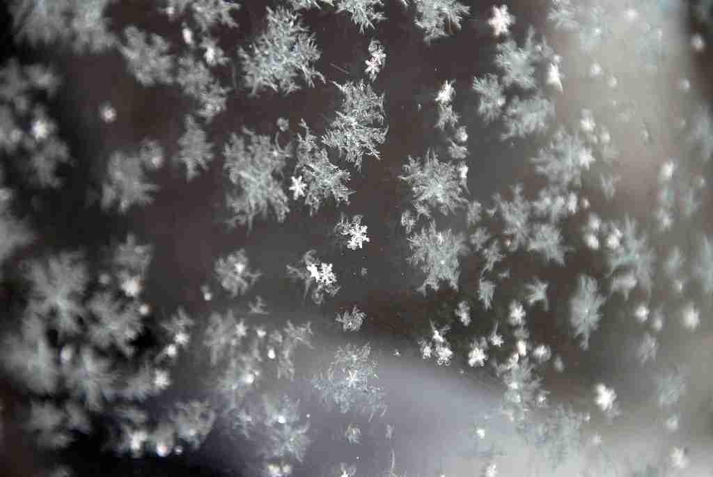 雪情報！