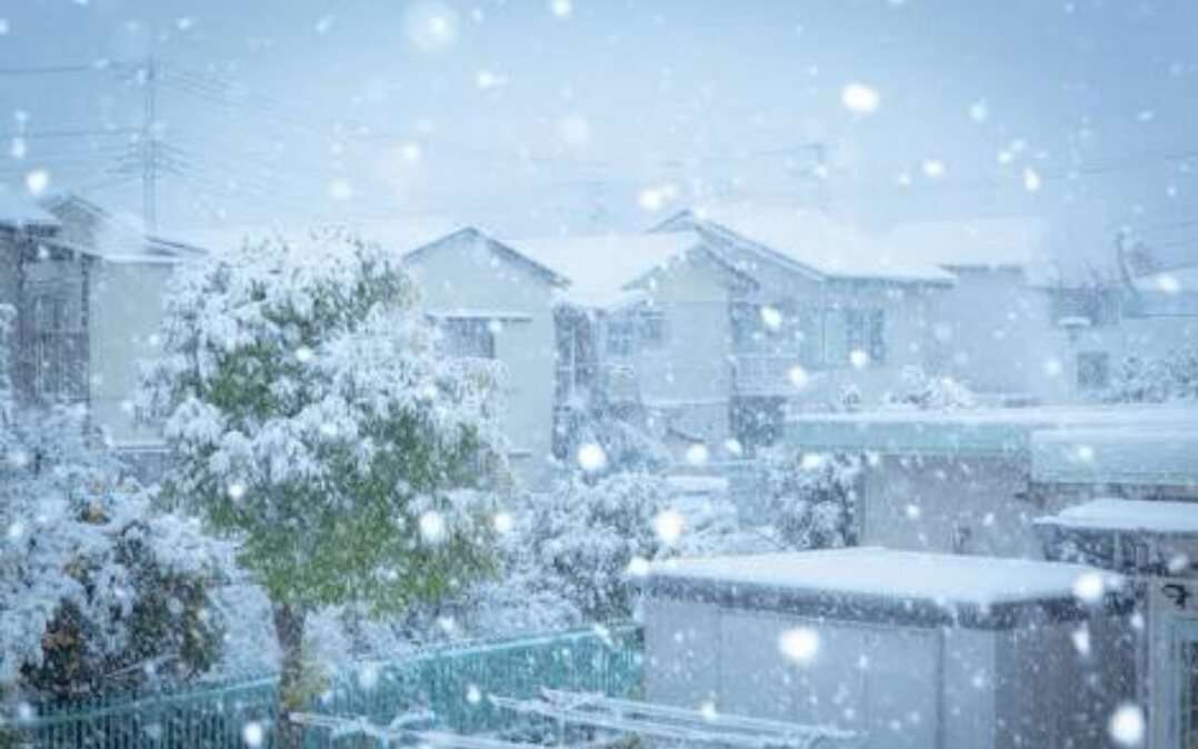 雪情報！