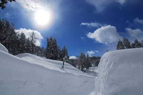 雪情報！