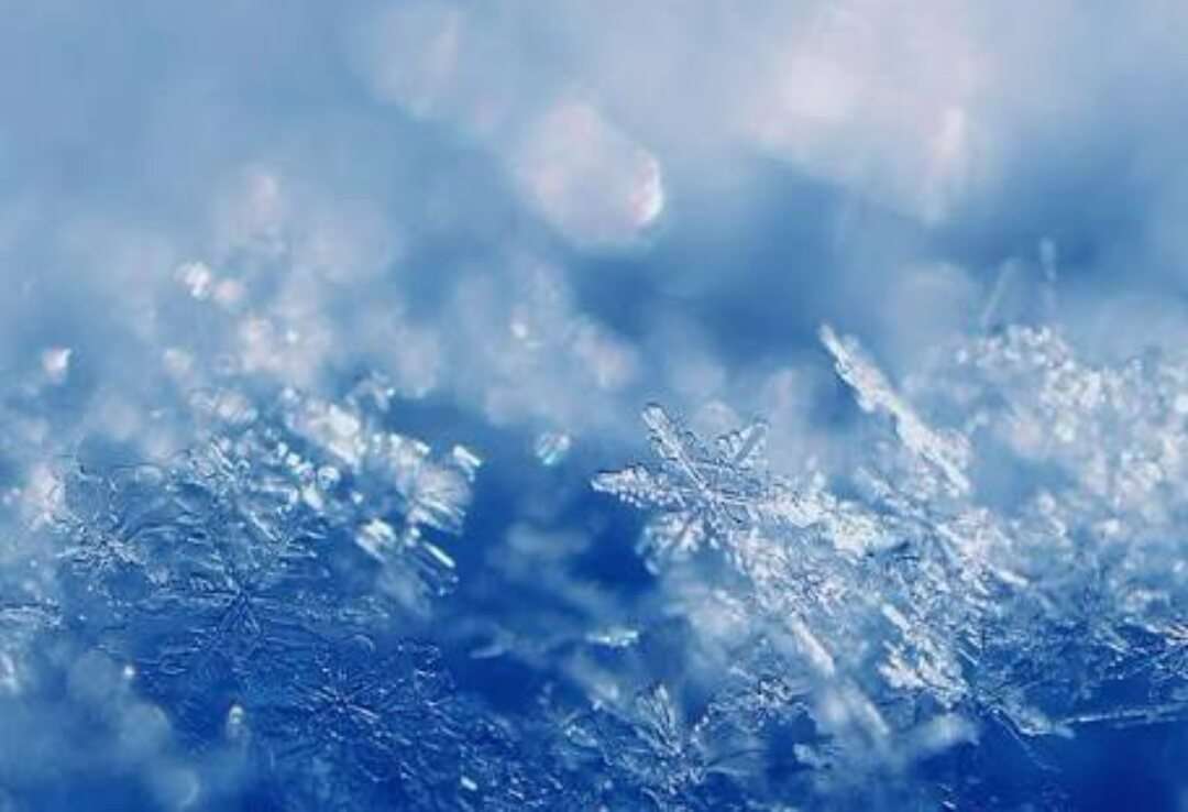 雪情報！