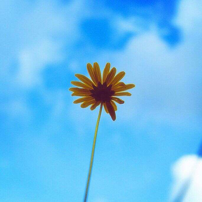 好きな色の画像を貼るトピ