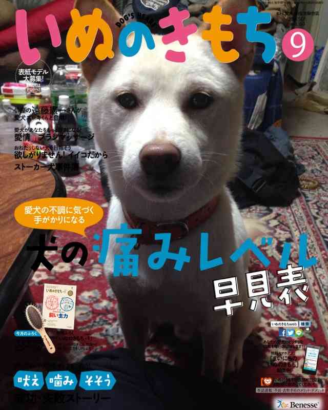 「人気犬種ランキング」 トイ・プードルが7連覇