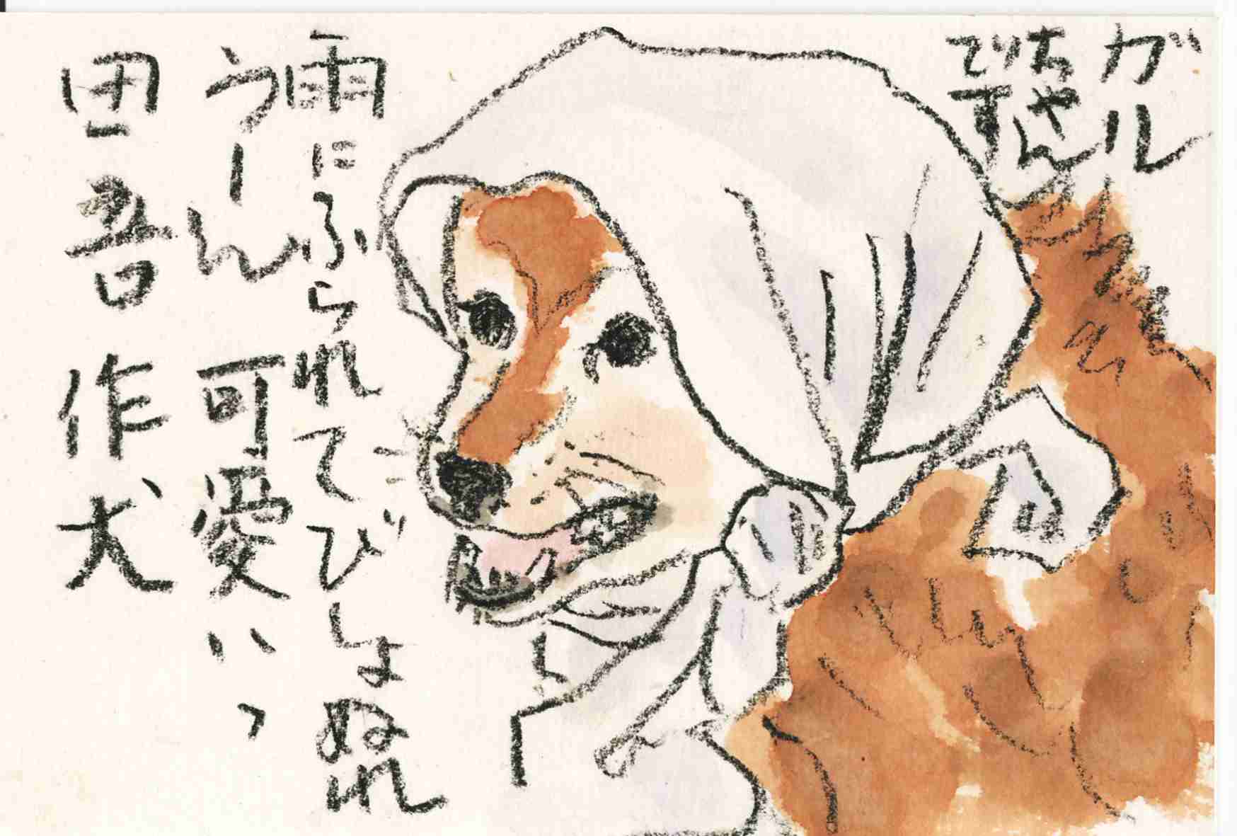 ○○卒業宣言 ！ 