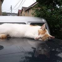 違和感がある画像