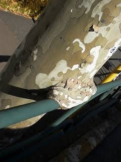 違和感がある画像