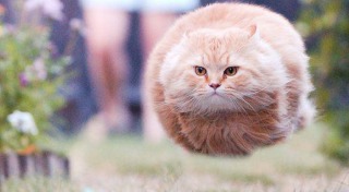 違和感がある画像