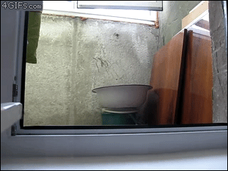違和感がある画像