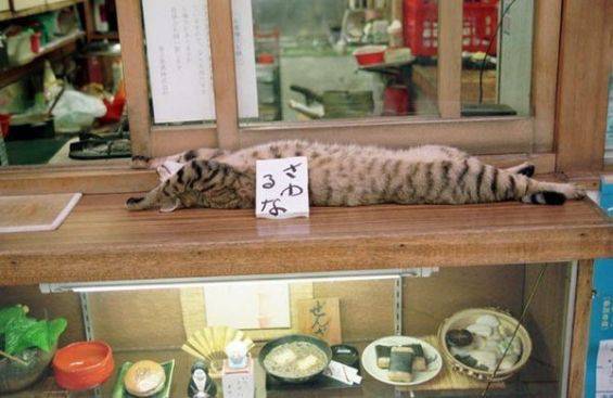 違和感がある画像