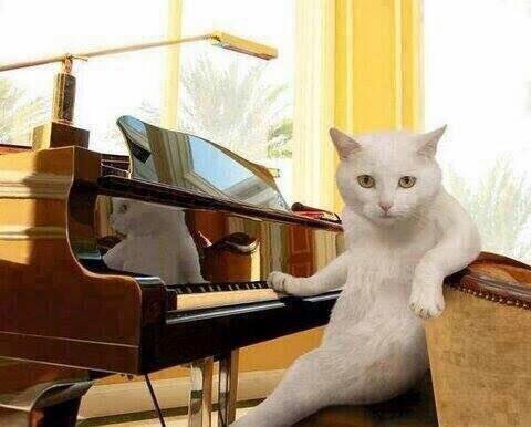 こっち見ないでの画像