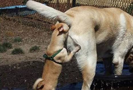 こっち見ないでの画像