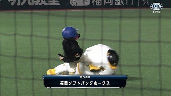 一瞬びっくりする画像を貼るトピ