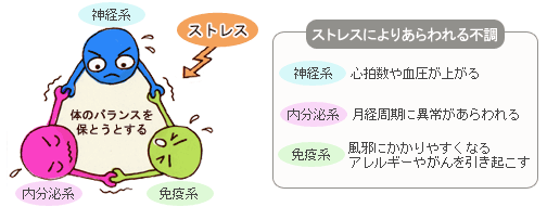 ストレスを舐めちゃいけないな、と思った事