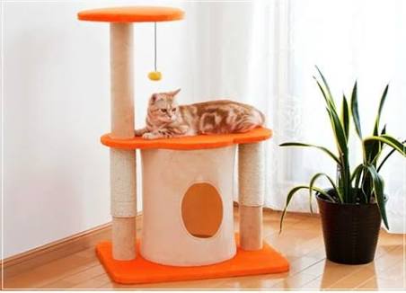 キャットタワーについて
